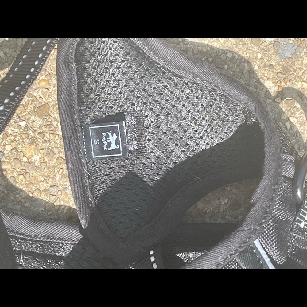 Dog Harness - Picture 4 of 6